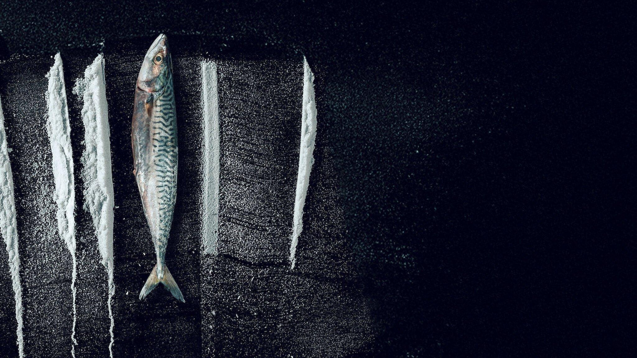 Przypływ: Niewiarygodna historia Rabo de Peixe