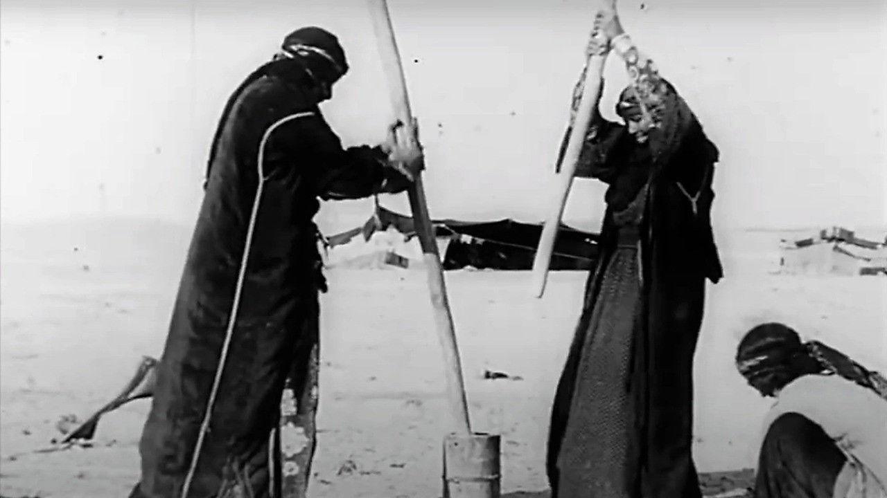 فيلم محاولة عن سد الفرات