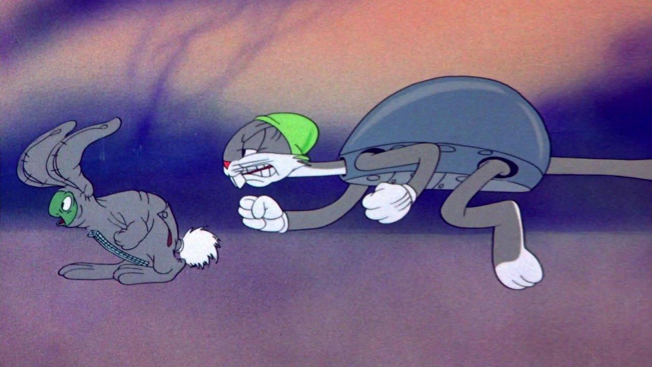 O żółwiu, który przegonił królika