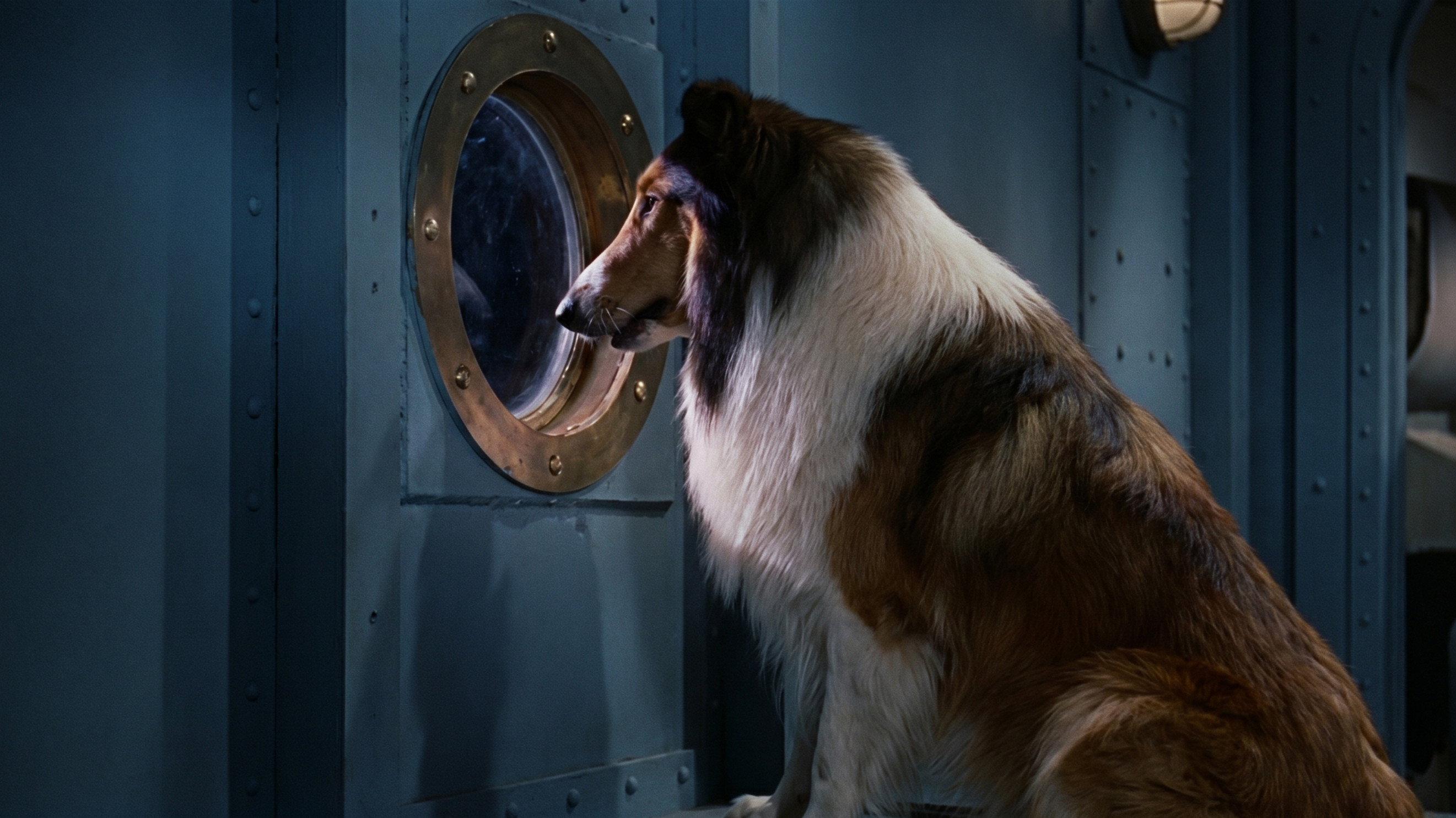 Lassie, the Voyager
