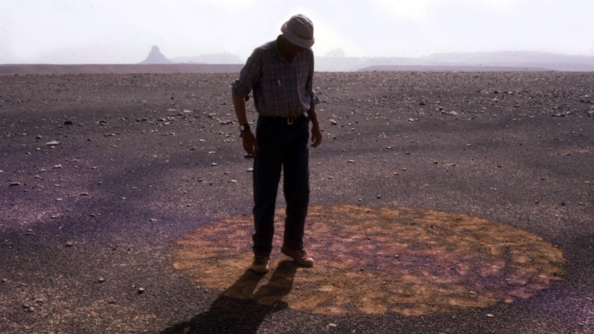 Stones and Flies: Richard Long in the Sahara