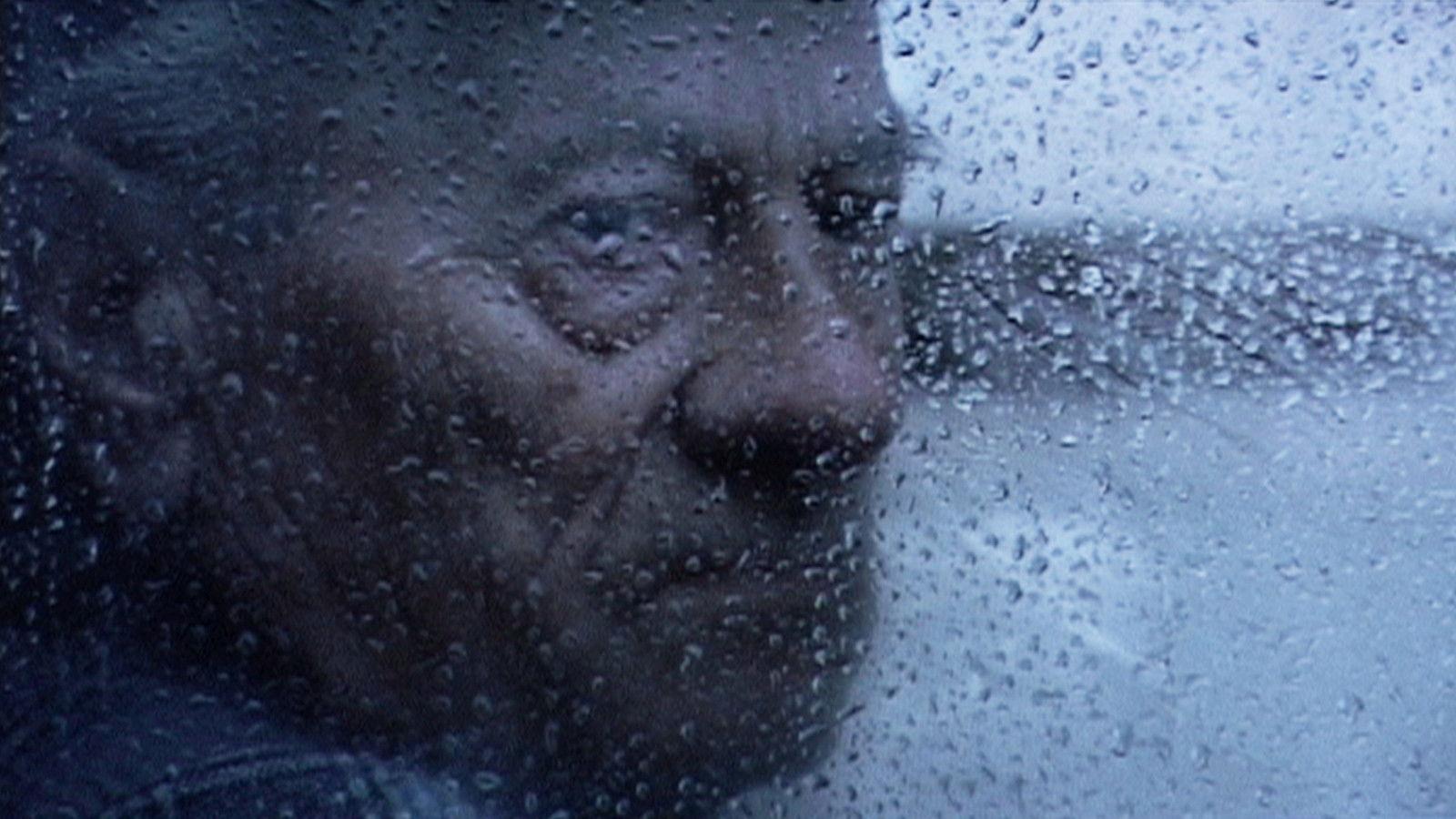 Odgłosy robaków - zapiski mumii