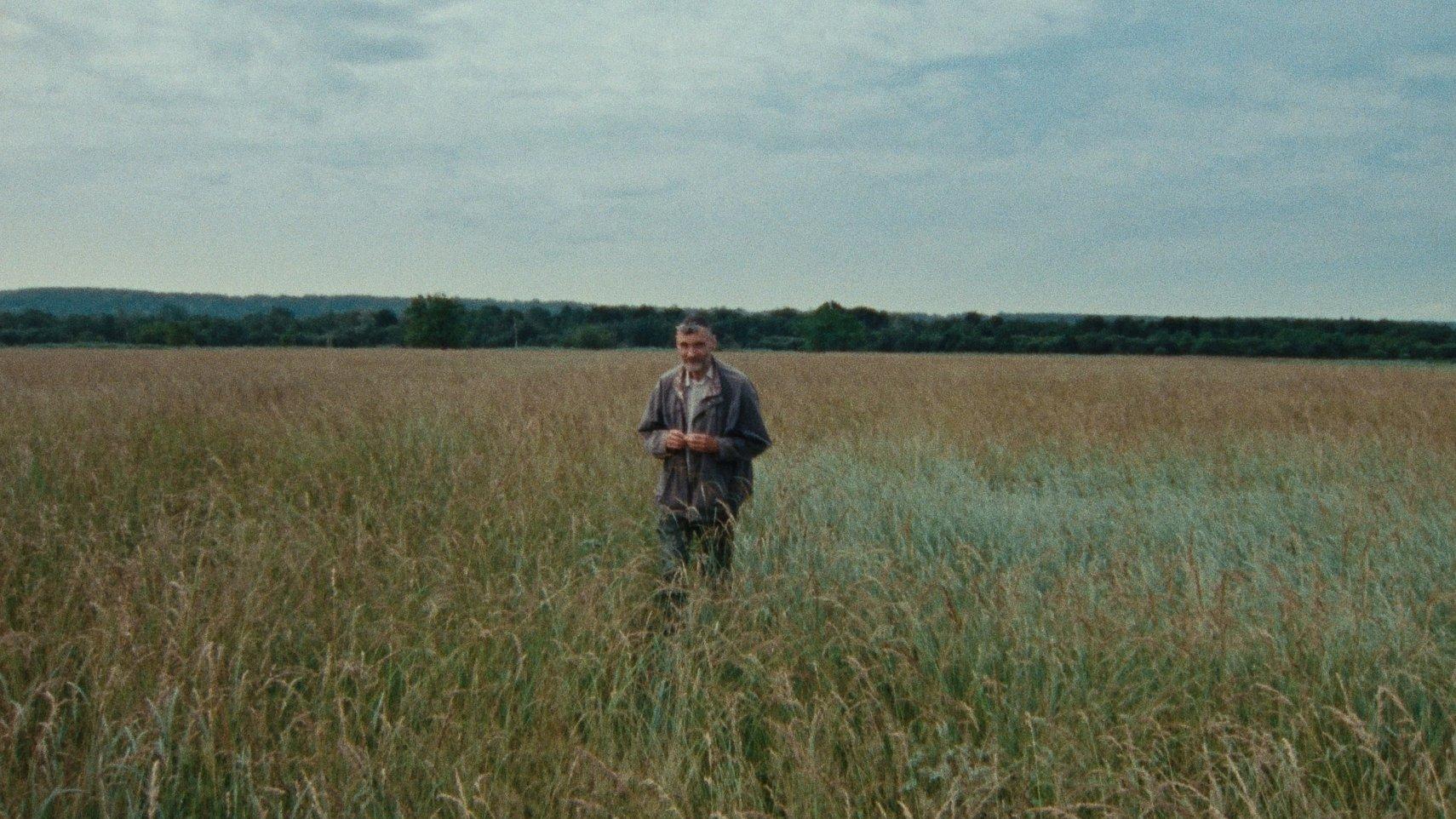 Sept promenades avec Mark Brown