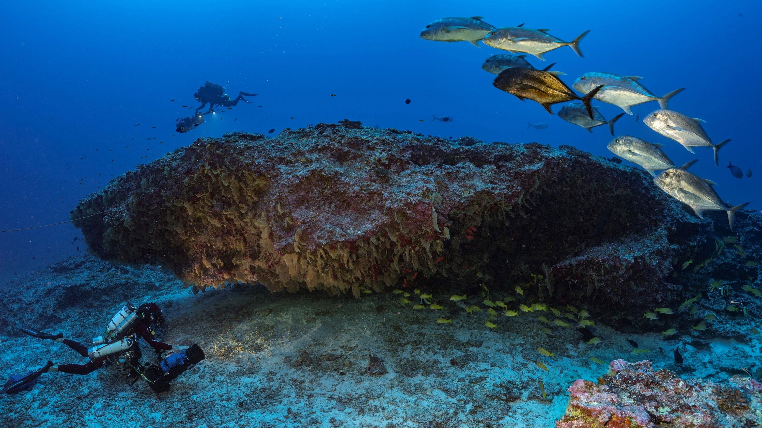 Les Mystères du mont La Pérouse