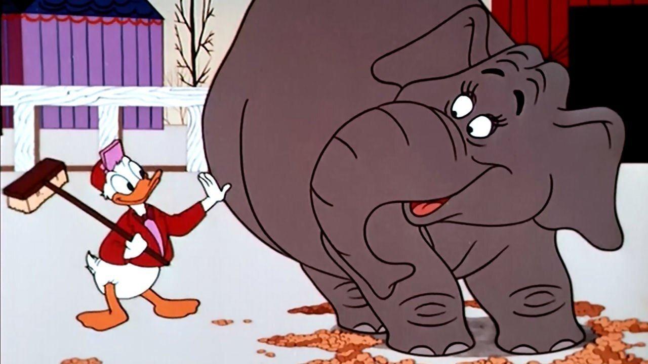 Pracując na fistaszki