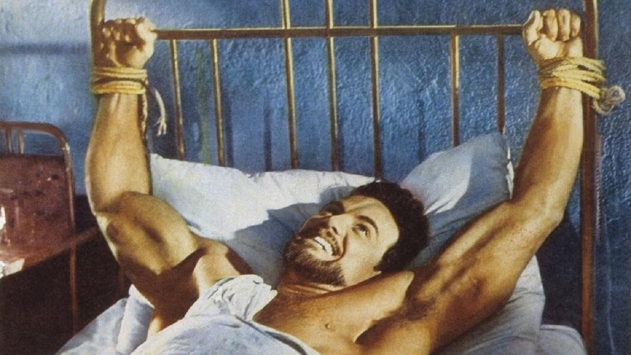 Agi Murad, il diavolo bianco