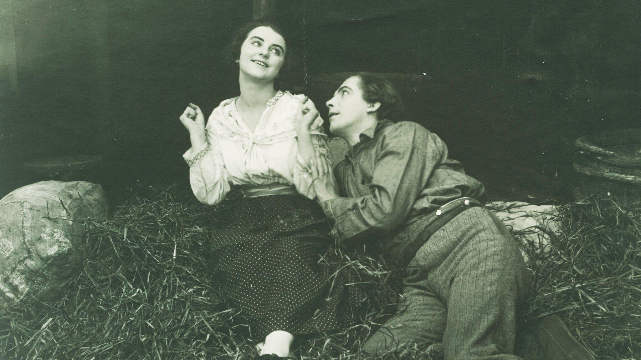 Pieśń purpurowego kwiatu