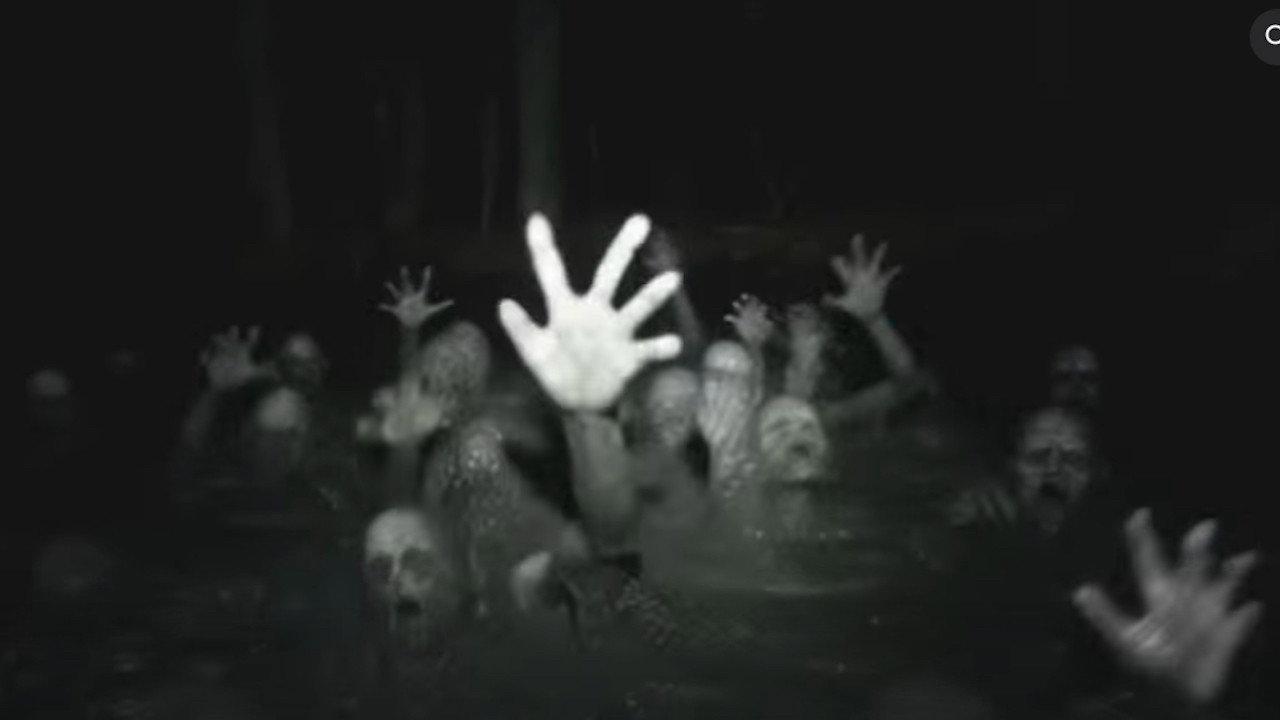 Into the Pale
