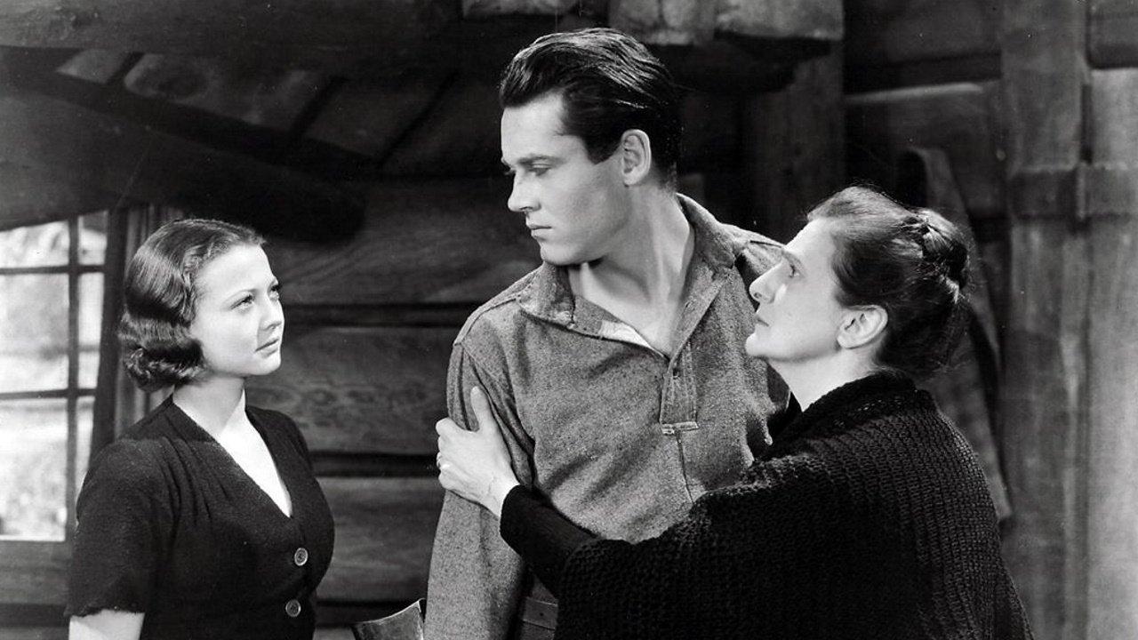 Szlak samotnej sosny