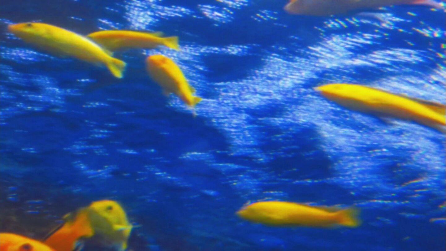 Silent Breaths Beneath Electric Glow