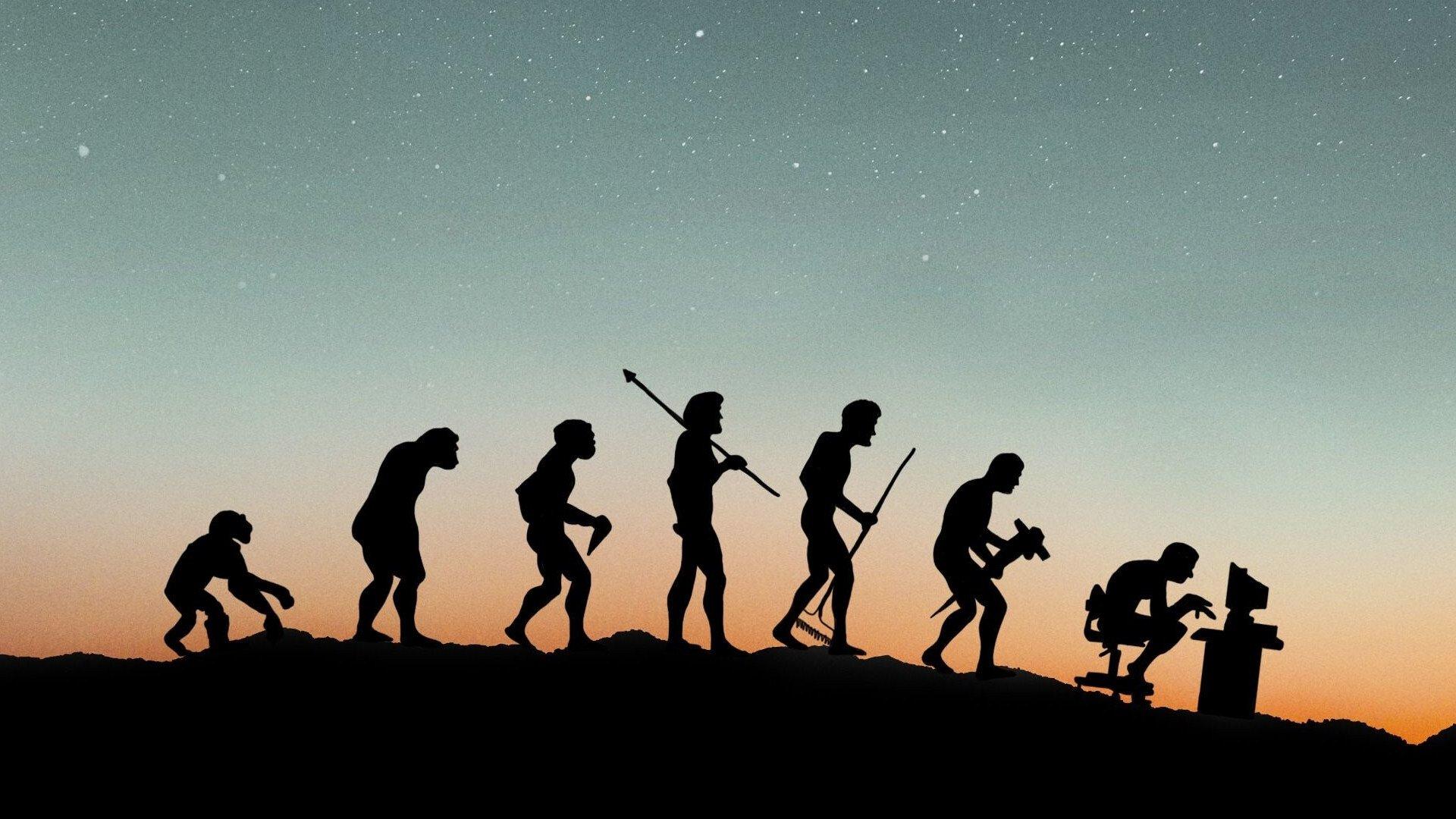 Lo i stało się. Zaduma nad światem w sieci