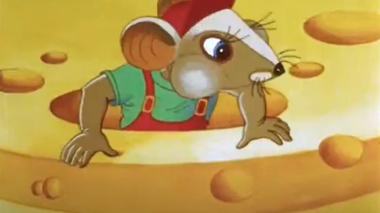 Сюда идёт кот!