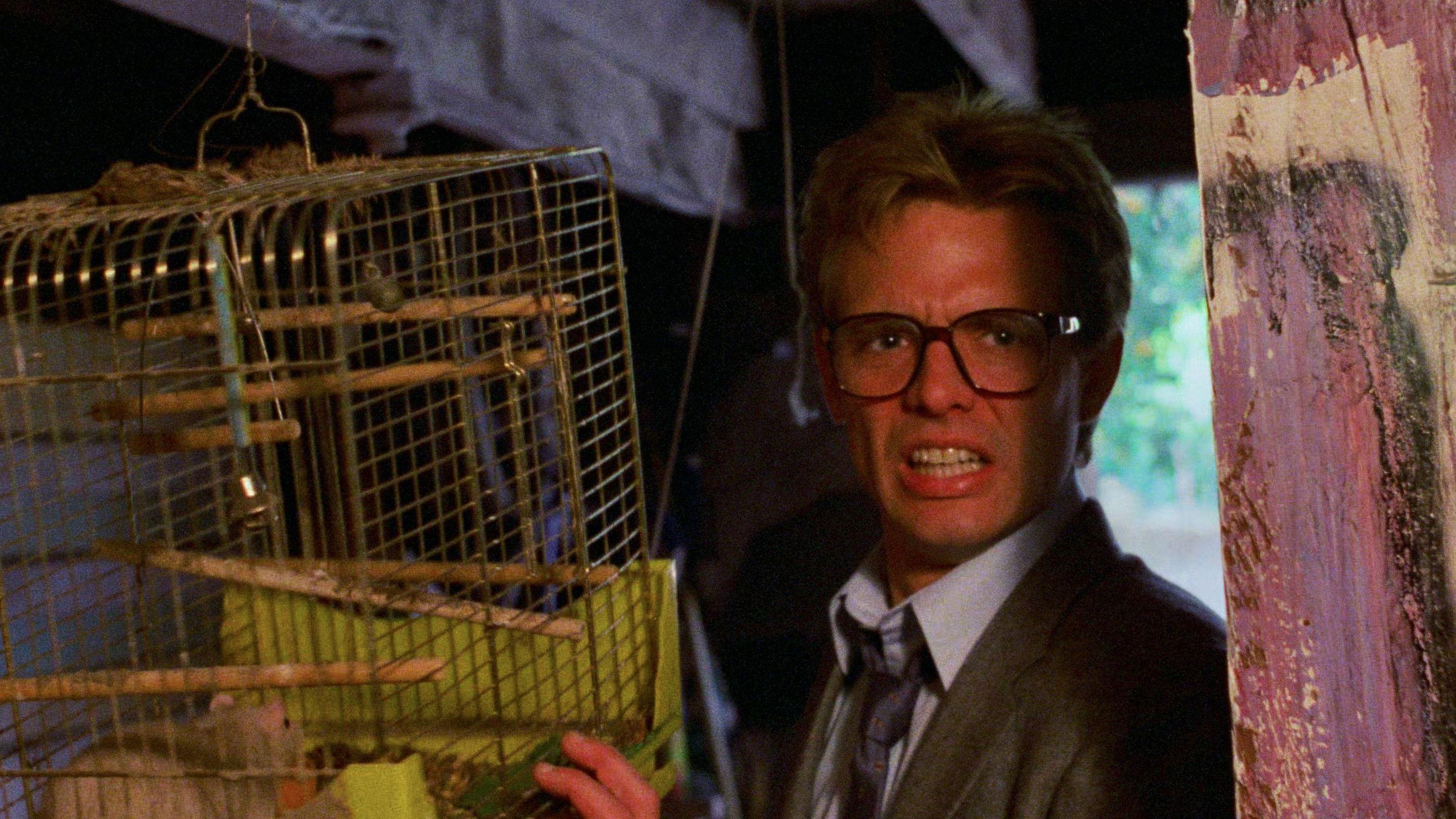 Rampage: Szaleństwo