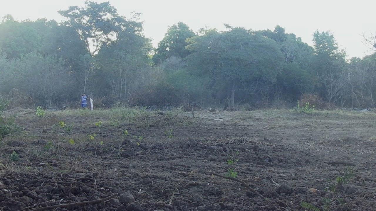 Siempre Andamos Caminando