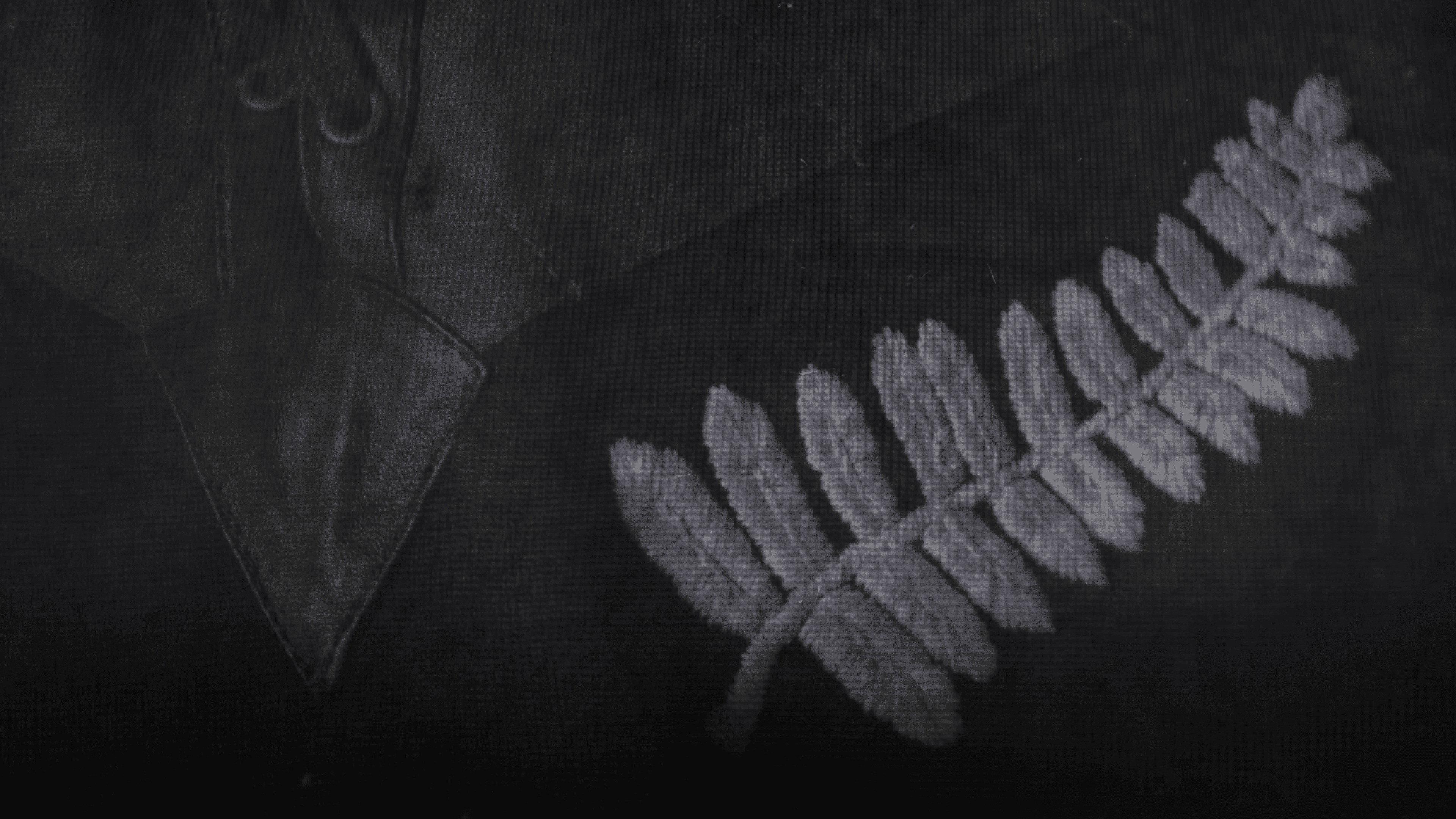 All Blacks at War