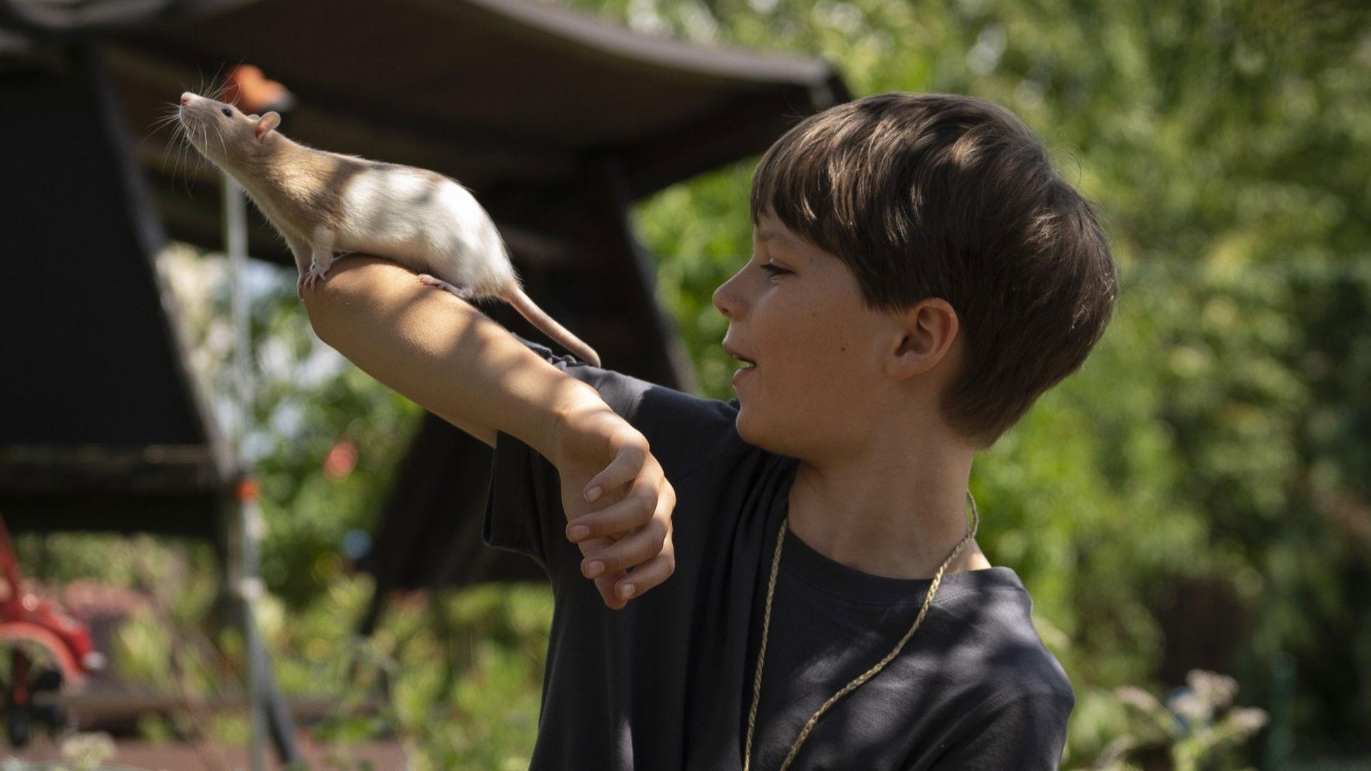 Club der bunten Ratten