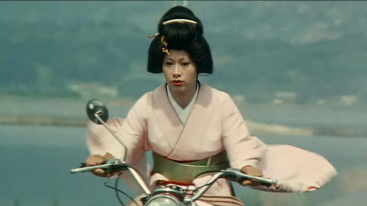 温泉スッポン芸者