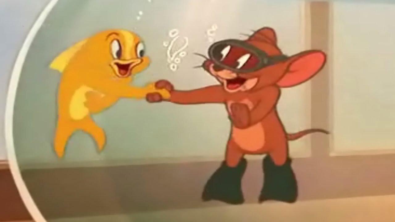 Jerry i złota rybka