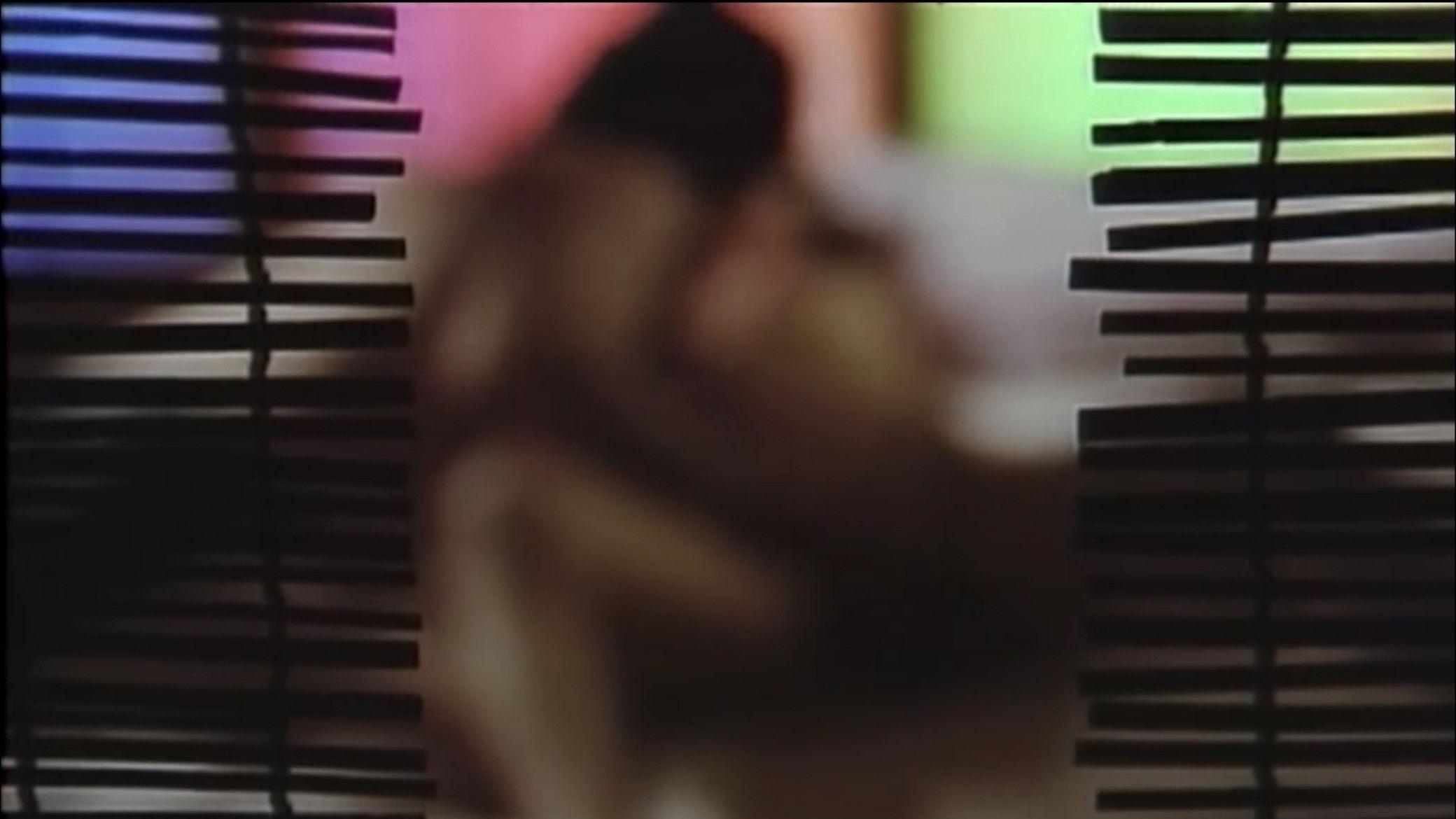 痴漢電車 後ろからも愛して