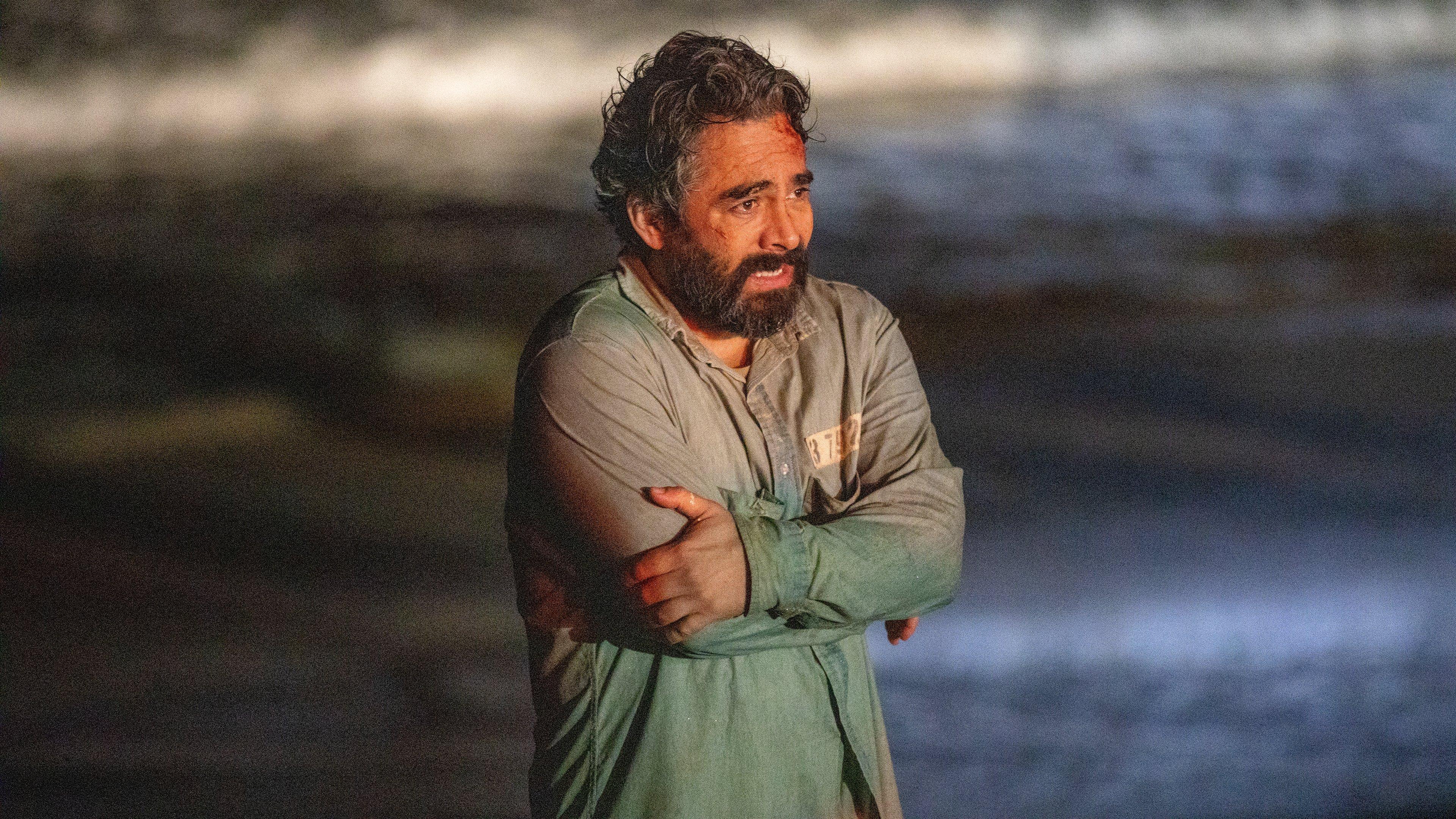 Un Viaje Al Corazón