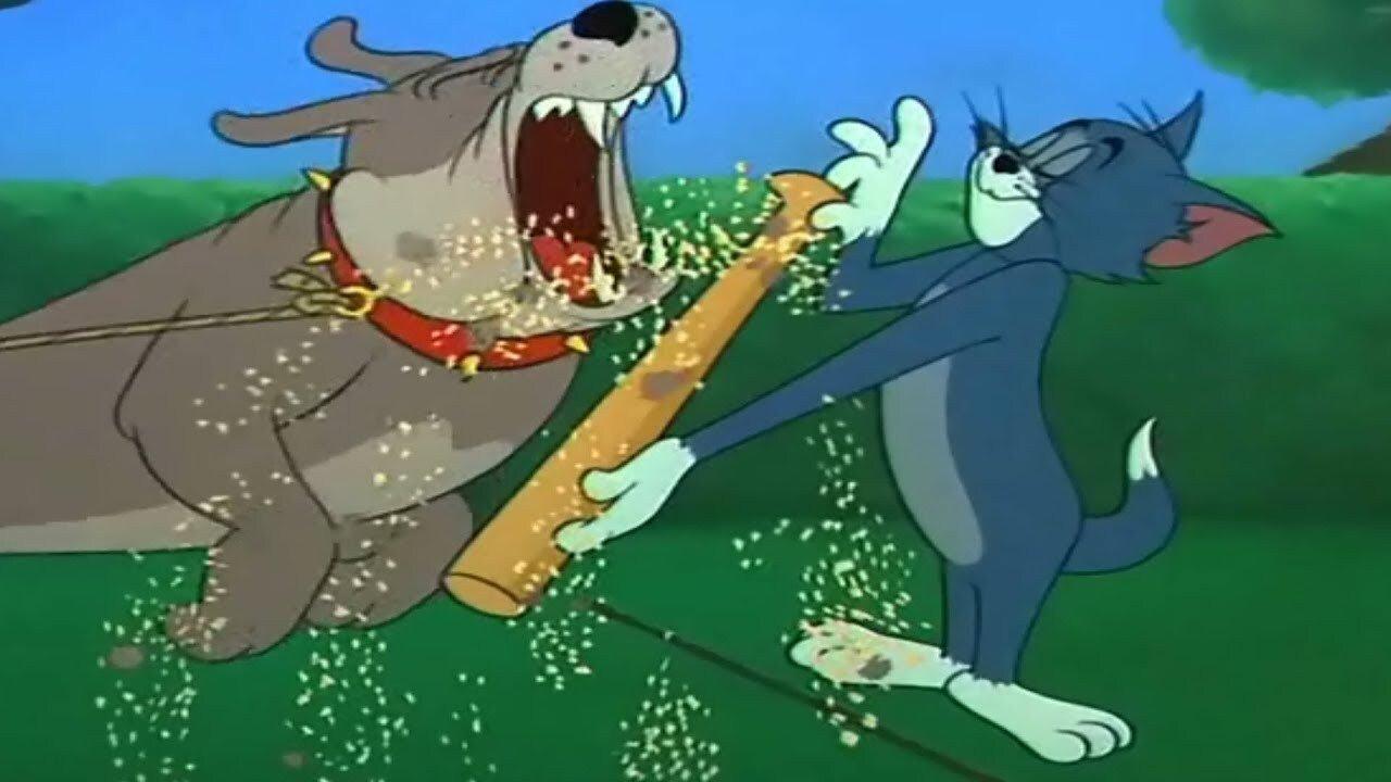 Kto chodzi na smyczy