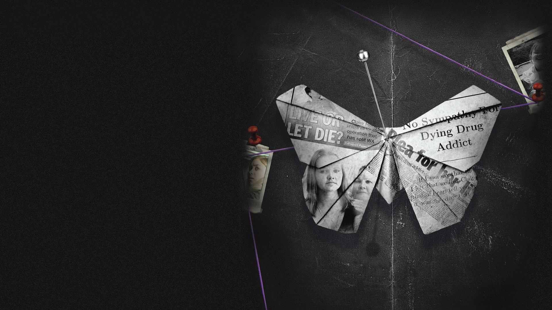 Wild Butterfly