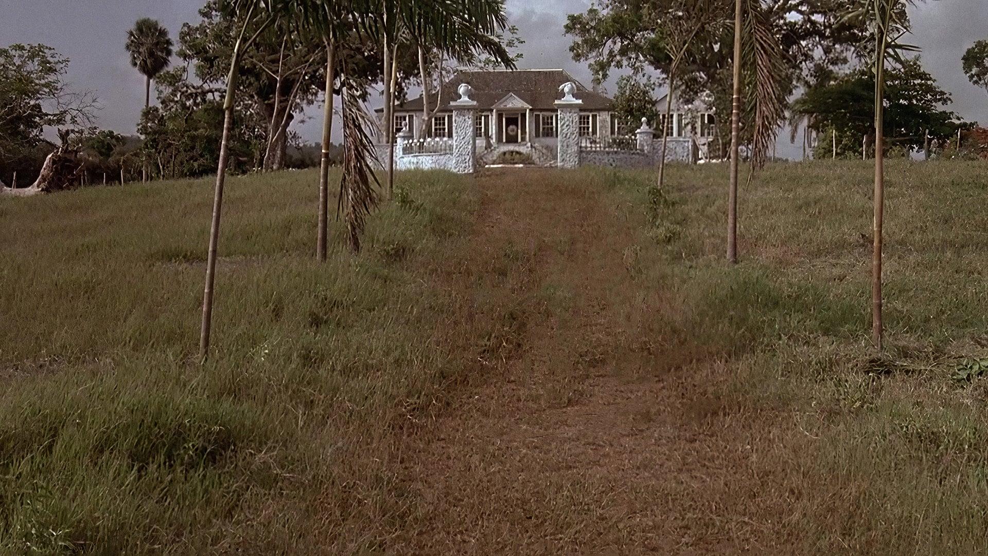 Bezkresne Morze Sargassowe