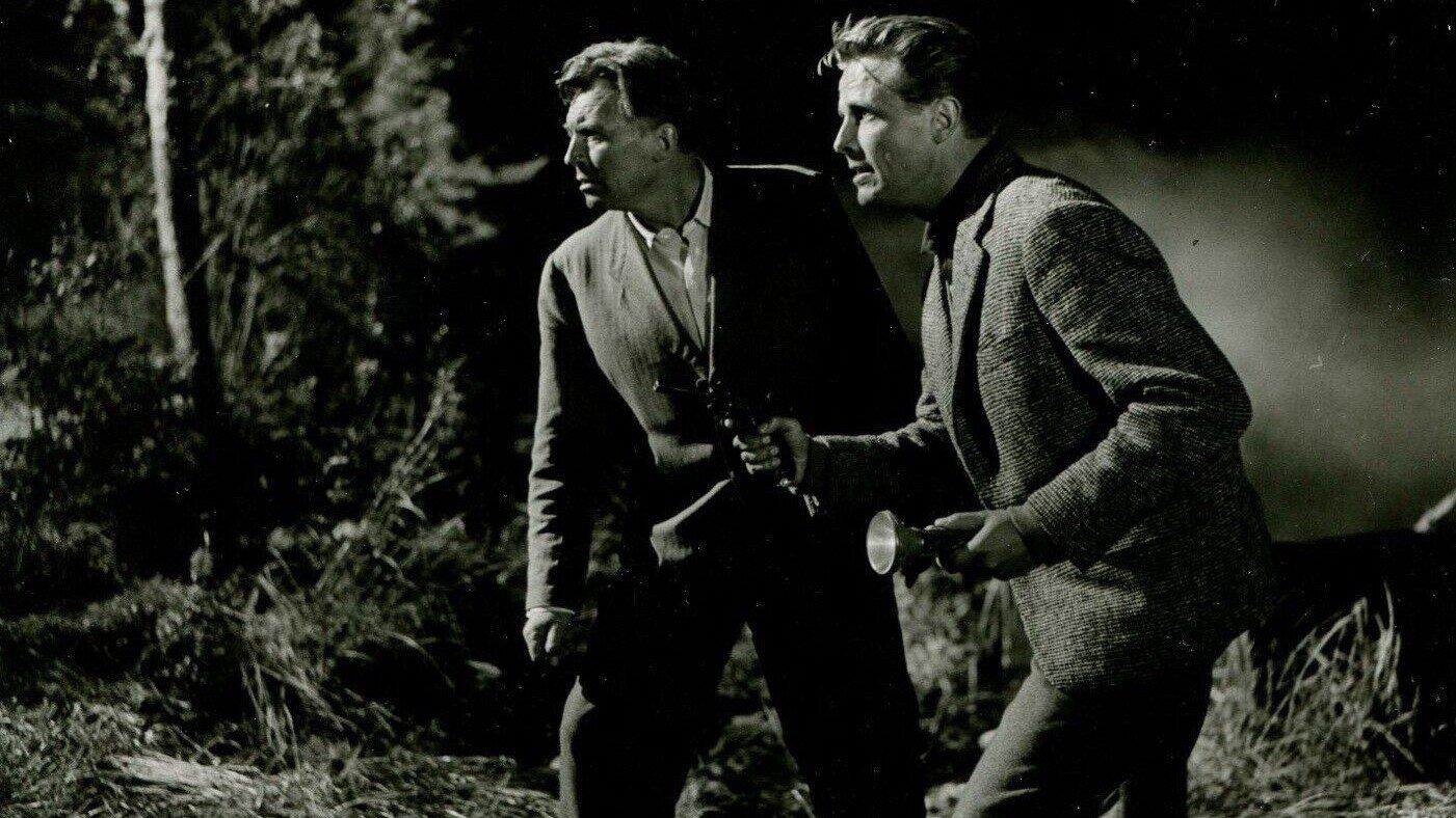 Der Schatz vom Toplitzsee