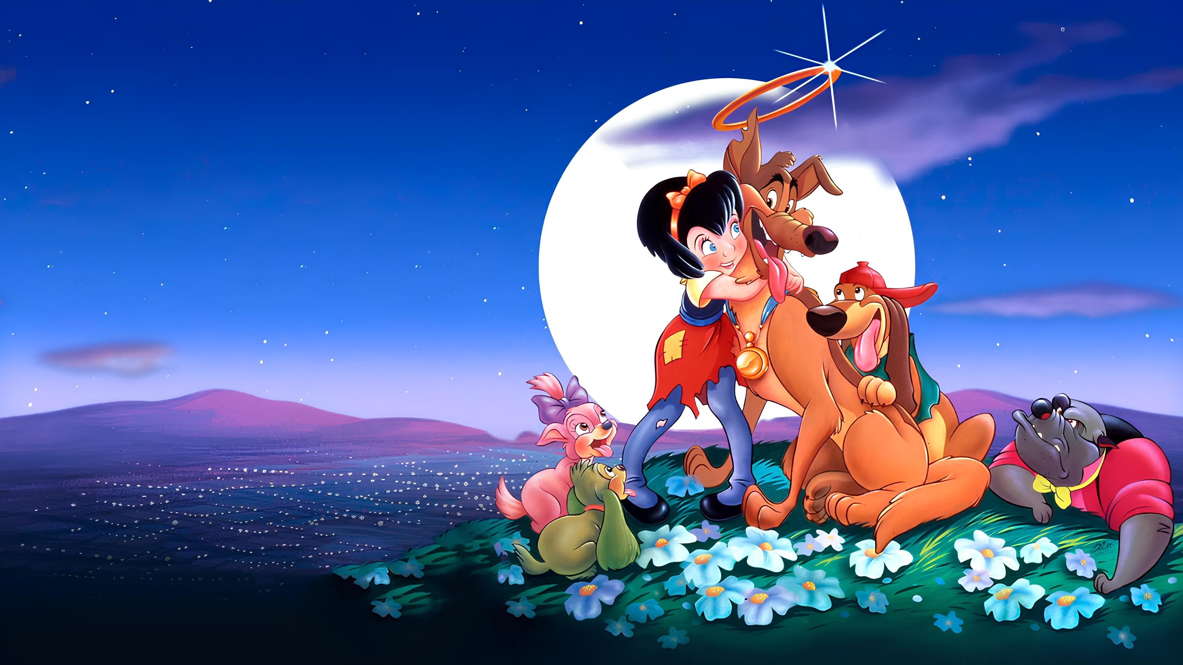 Wszystkie psy idą do nieba