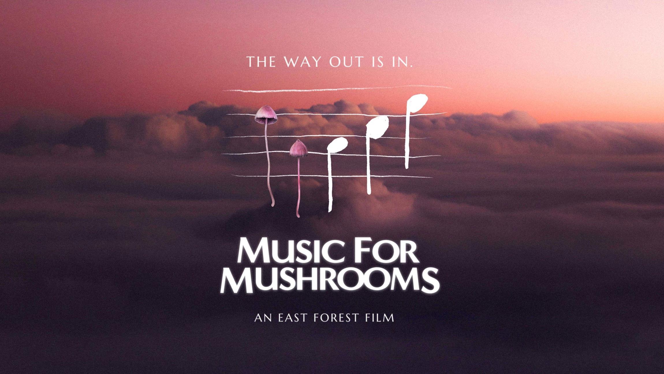 Music for Mushrooms