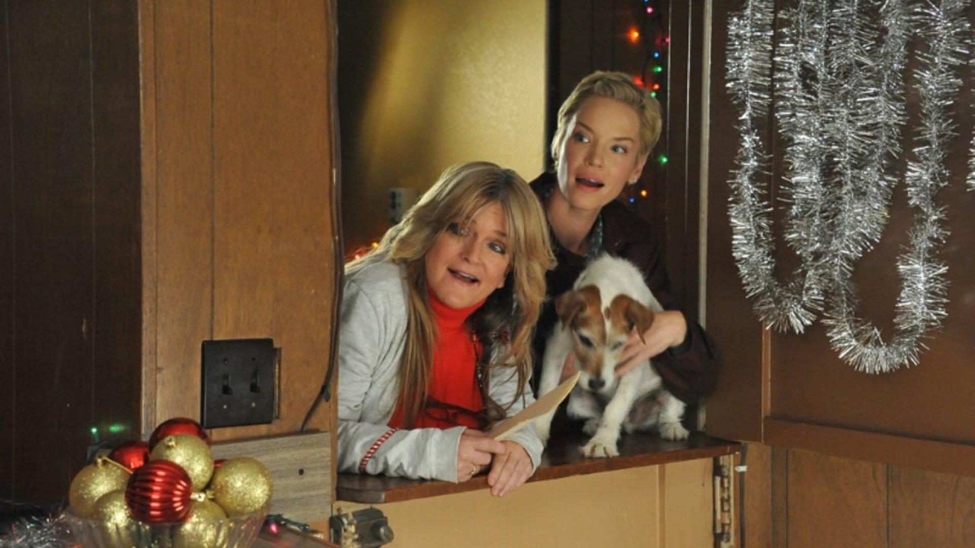 Świąteczna wyprawa