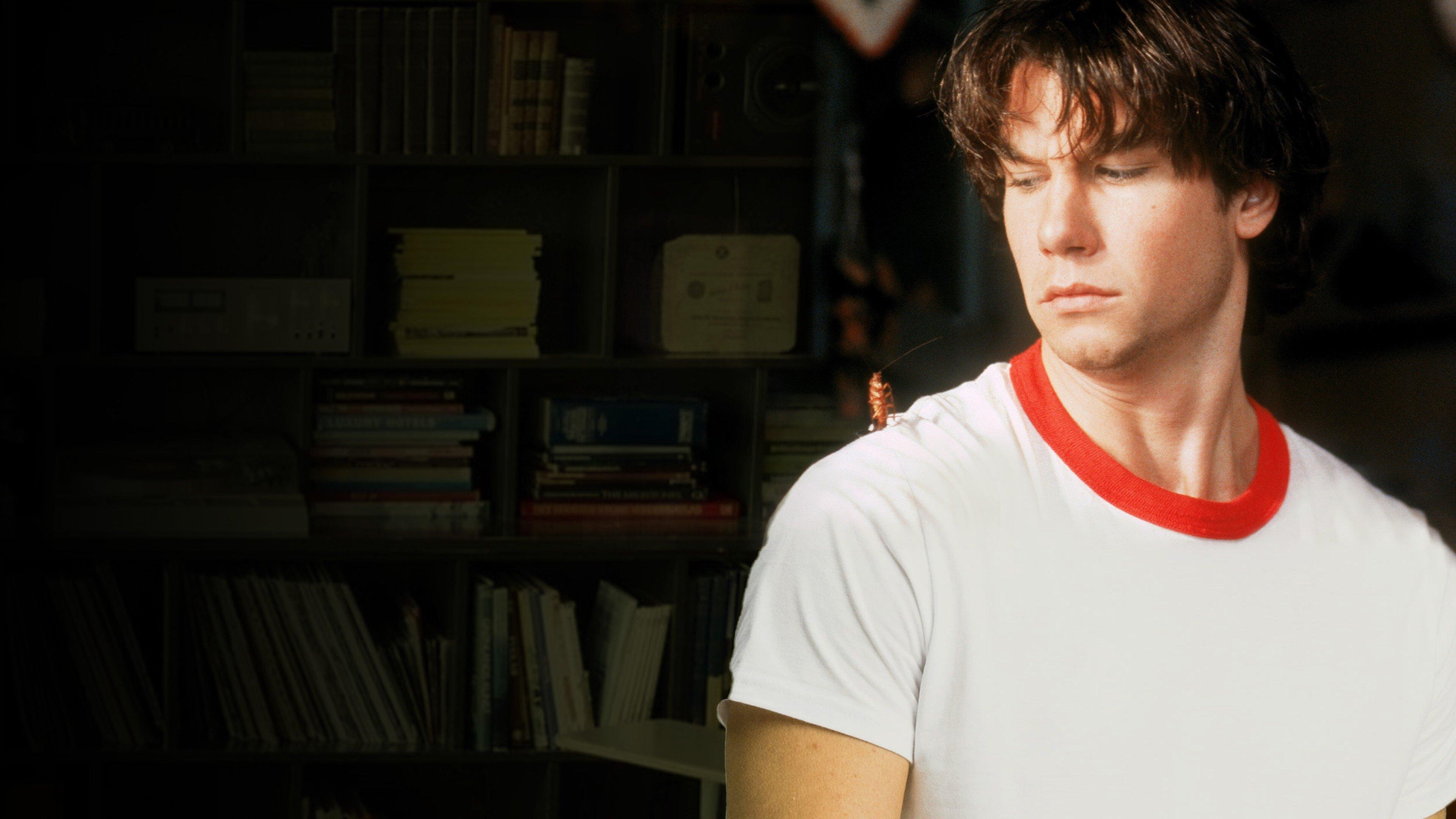 Karaluchy pod poduchy