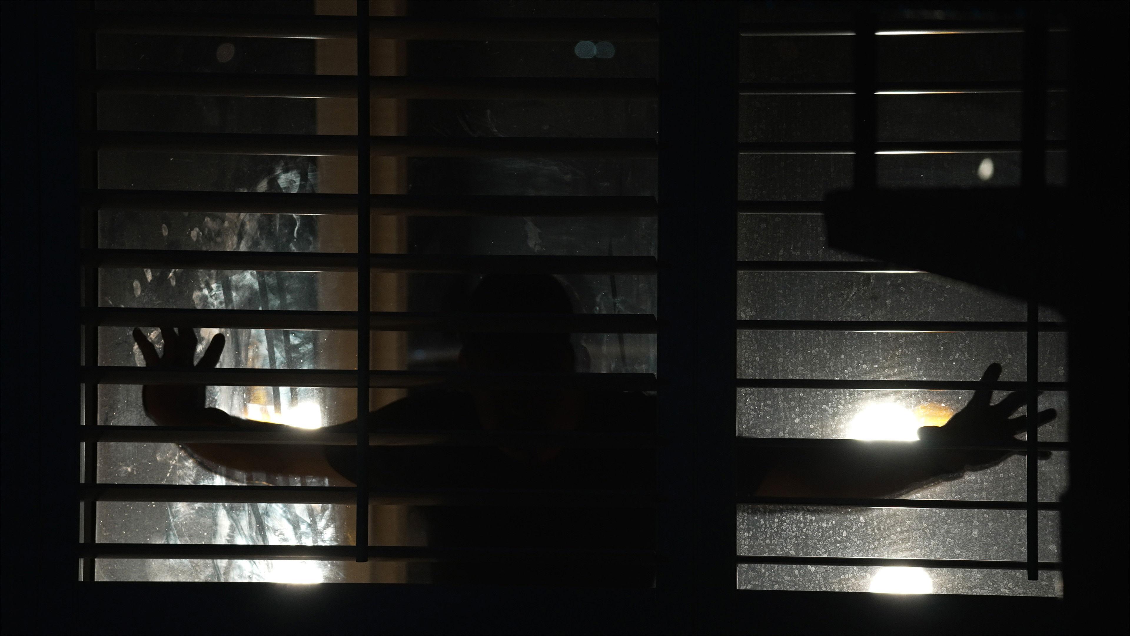 Spread: Pigs to Slaughter