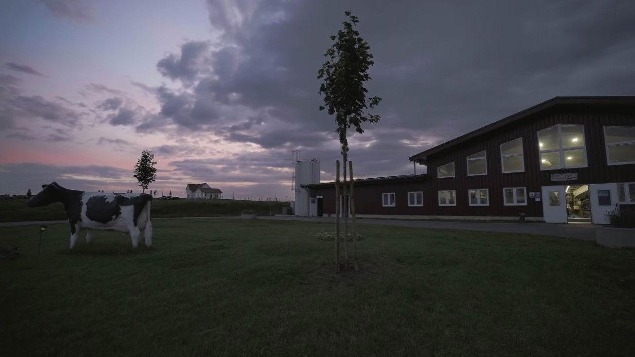 Höfe - Familie, Wirtschaft, Wandel