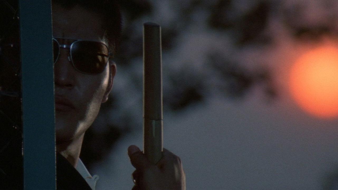 広域暴力 流血の縄張