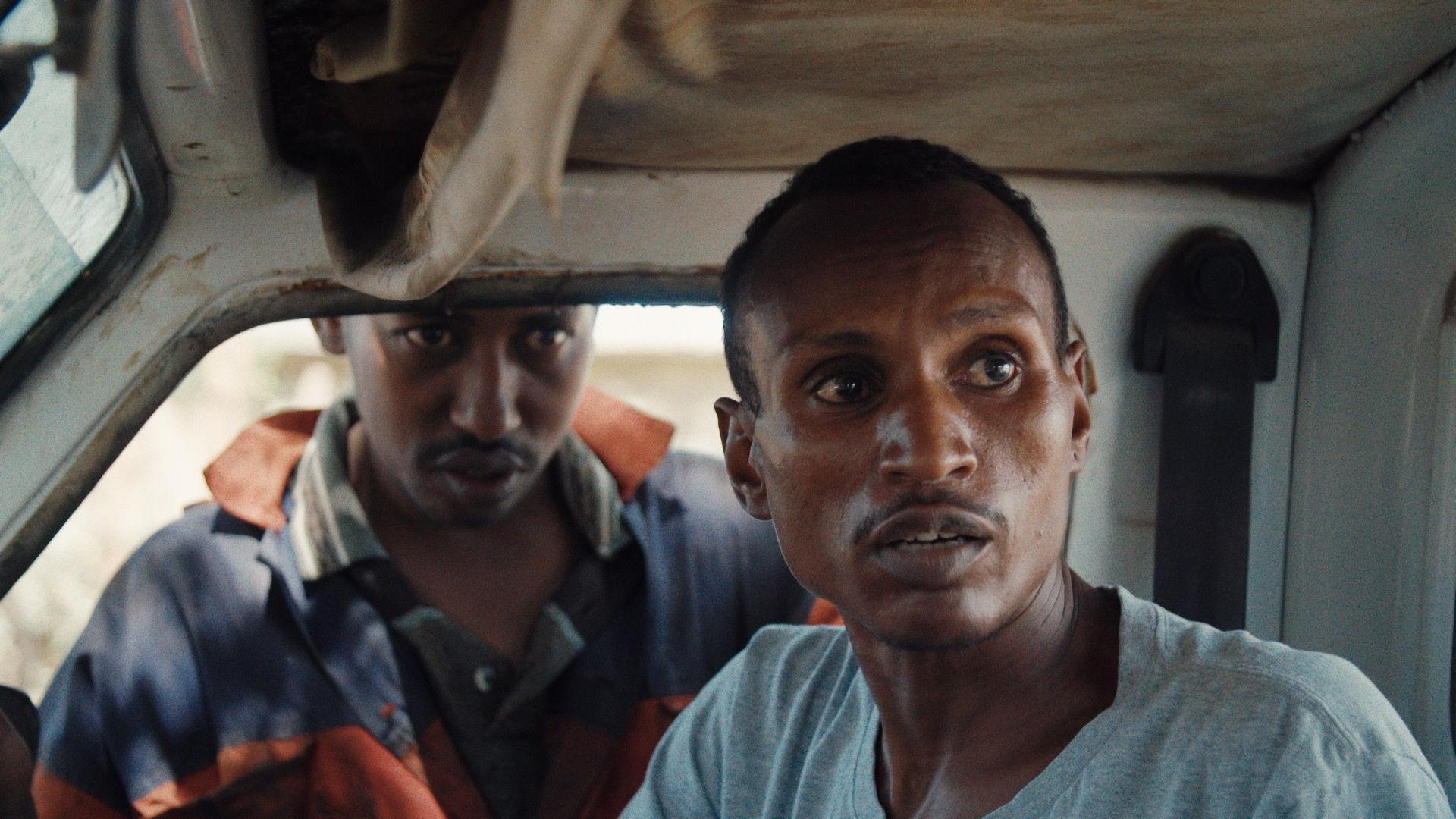 When Lambs Become Lions