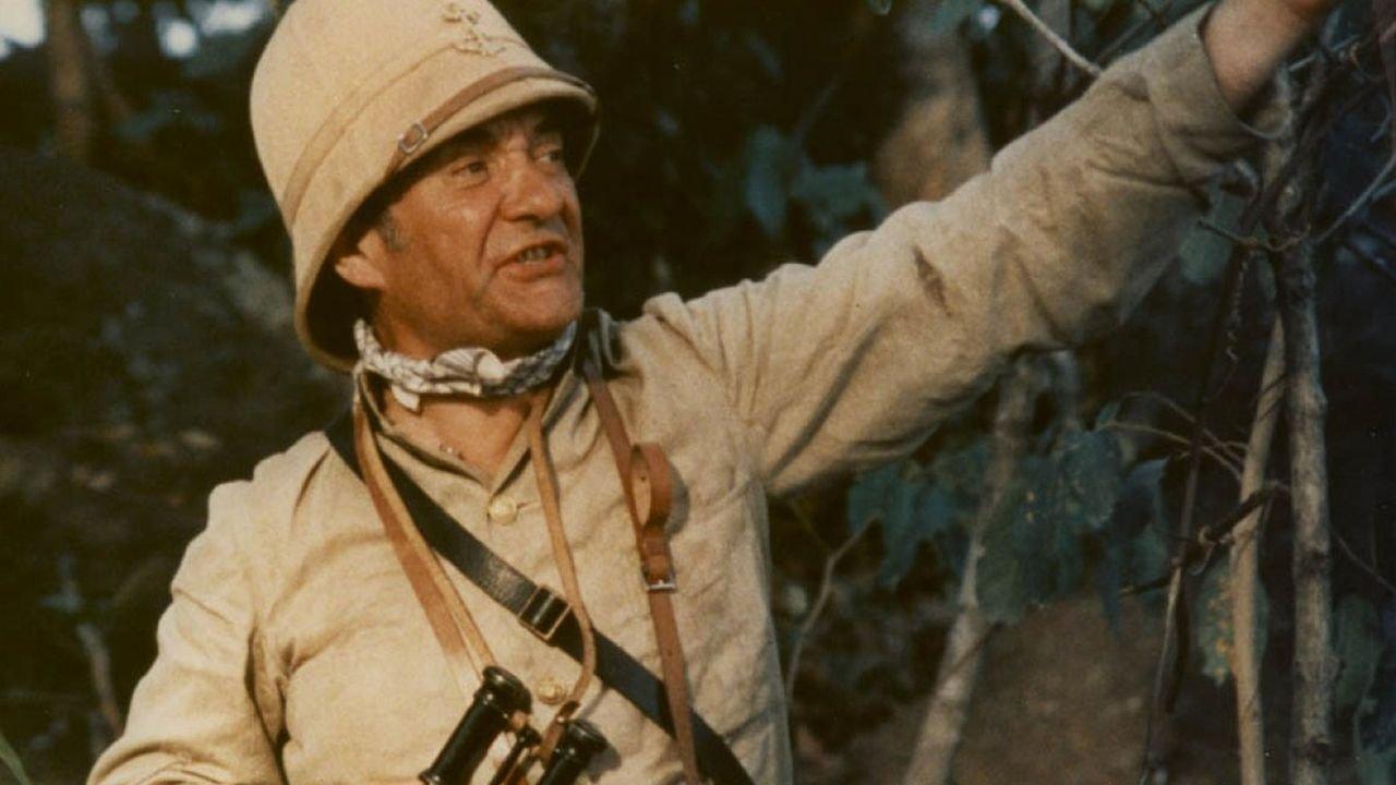 Czarne i białe w kolorze