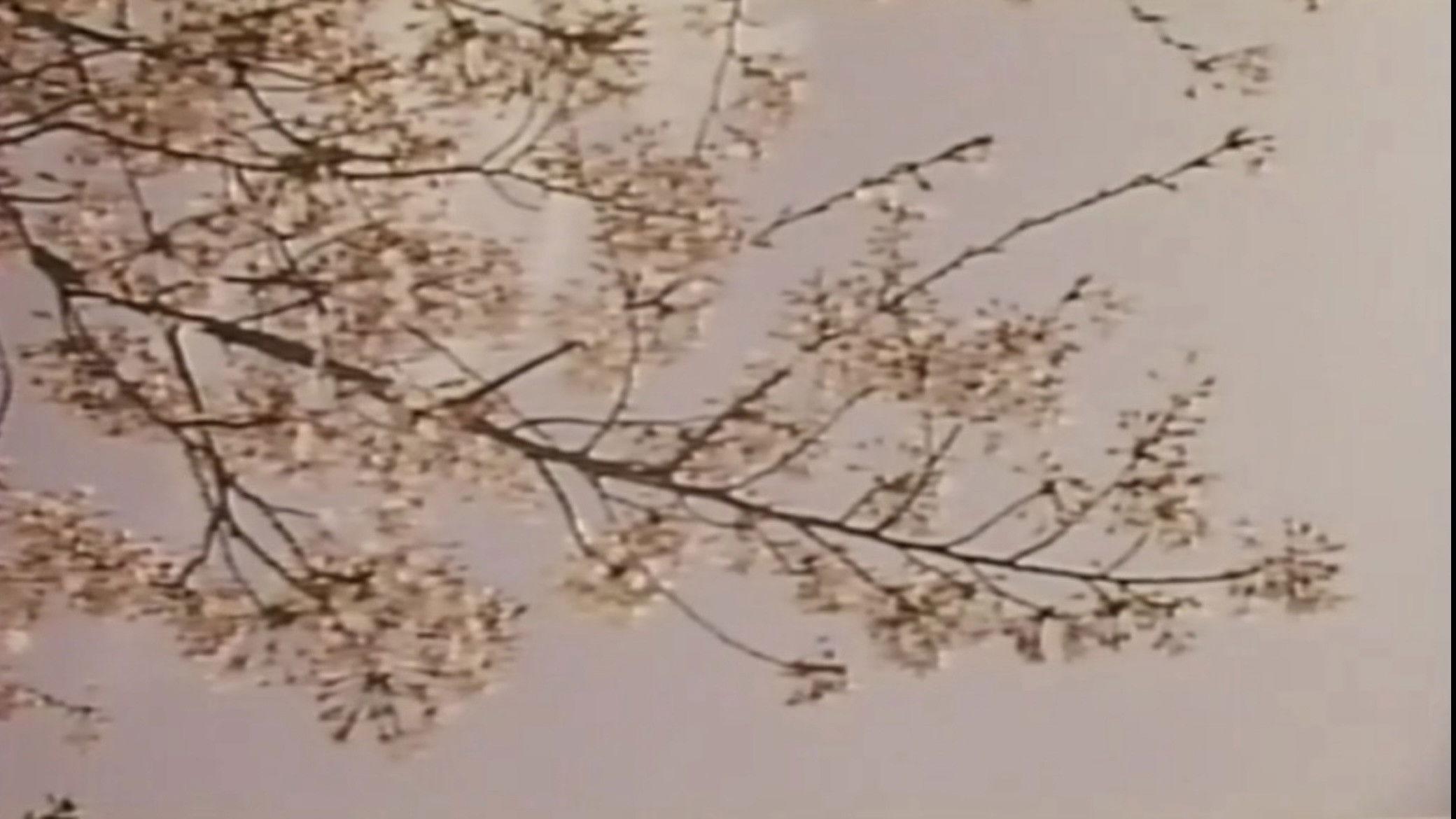 若奥様 太股びらき