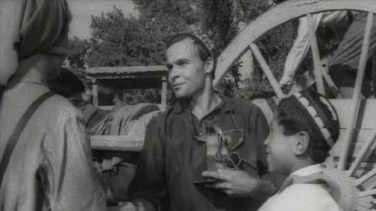 Хасан Арбакеш