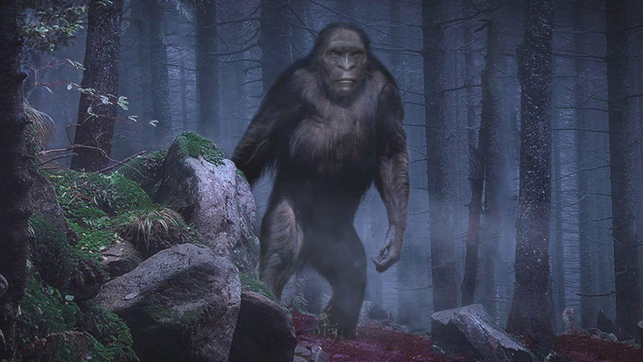 On the Trail of Bigfoot: The Discovery