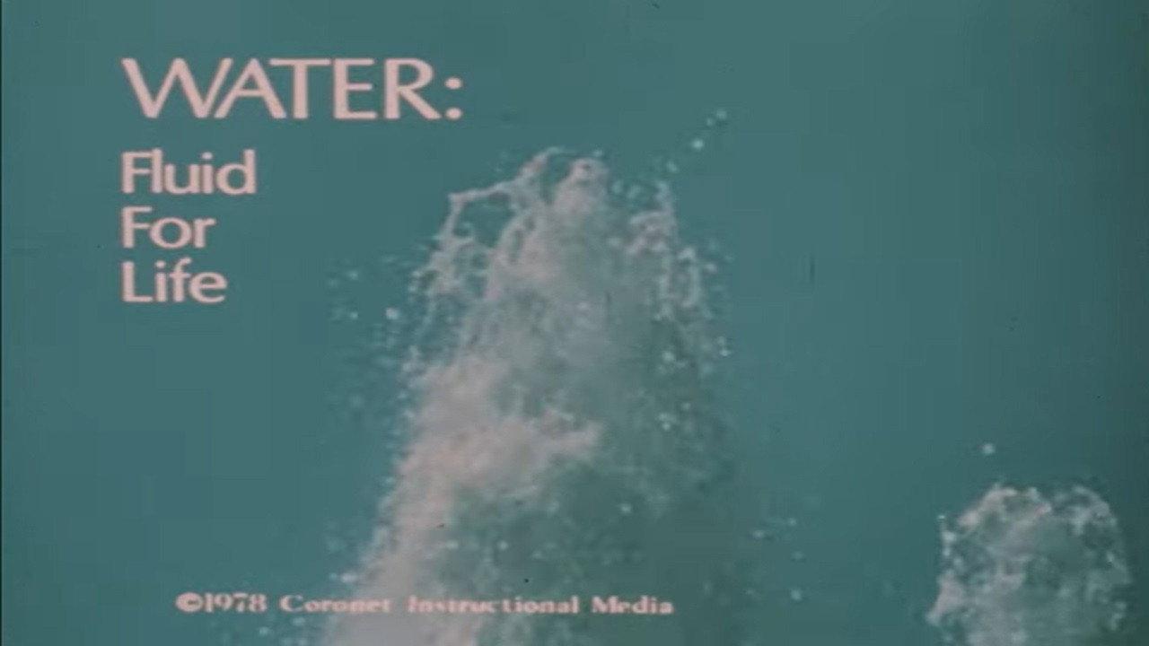 Water: Fluid For Life