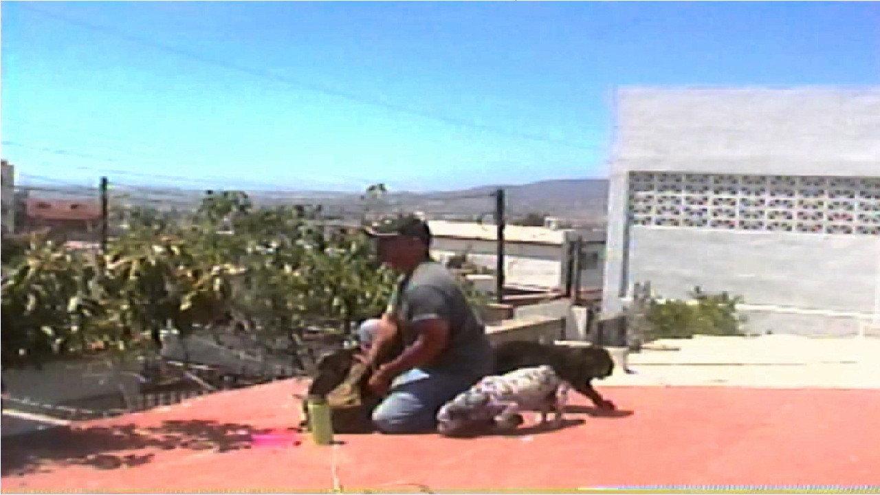 Los que se quedan