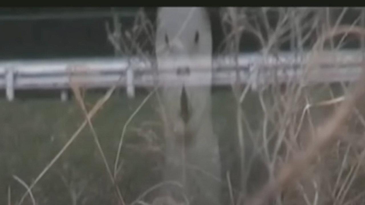 呪われた心霊動画 XXX 7