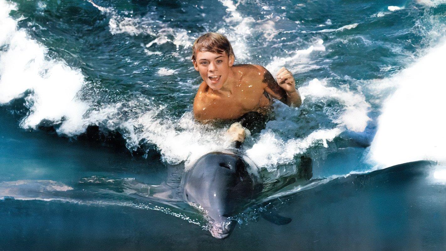 Mój przyjaciel delfin