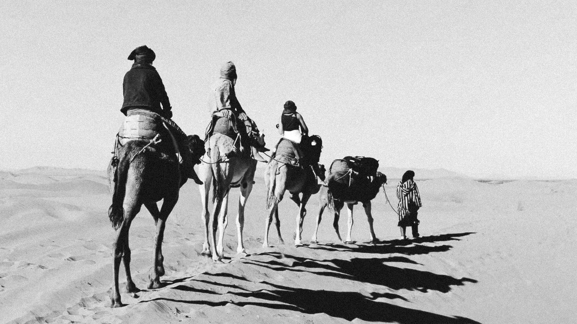 بناديق الحورية (Banâdiq El-Houria )