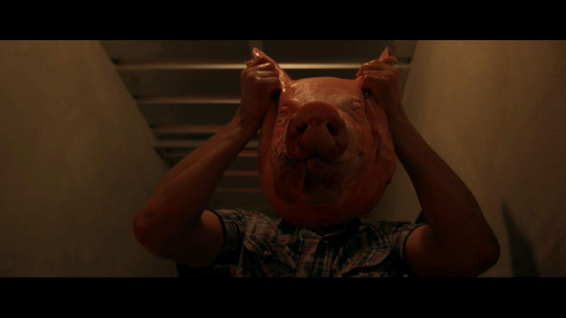 200 LITROS DE AGUA DE POCILGA