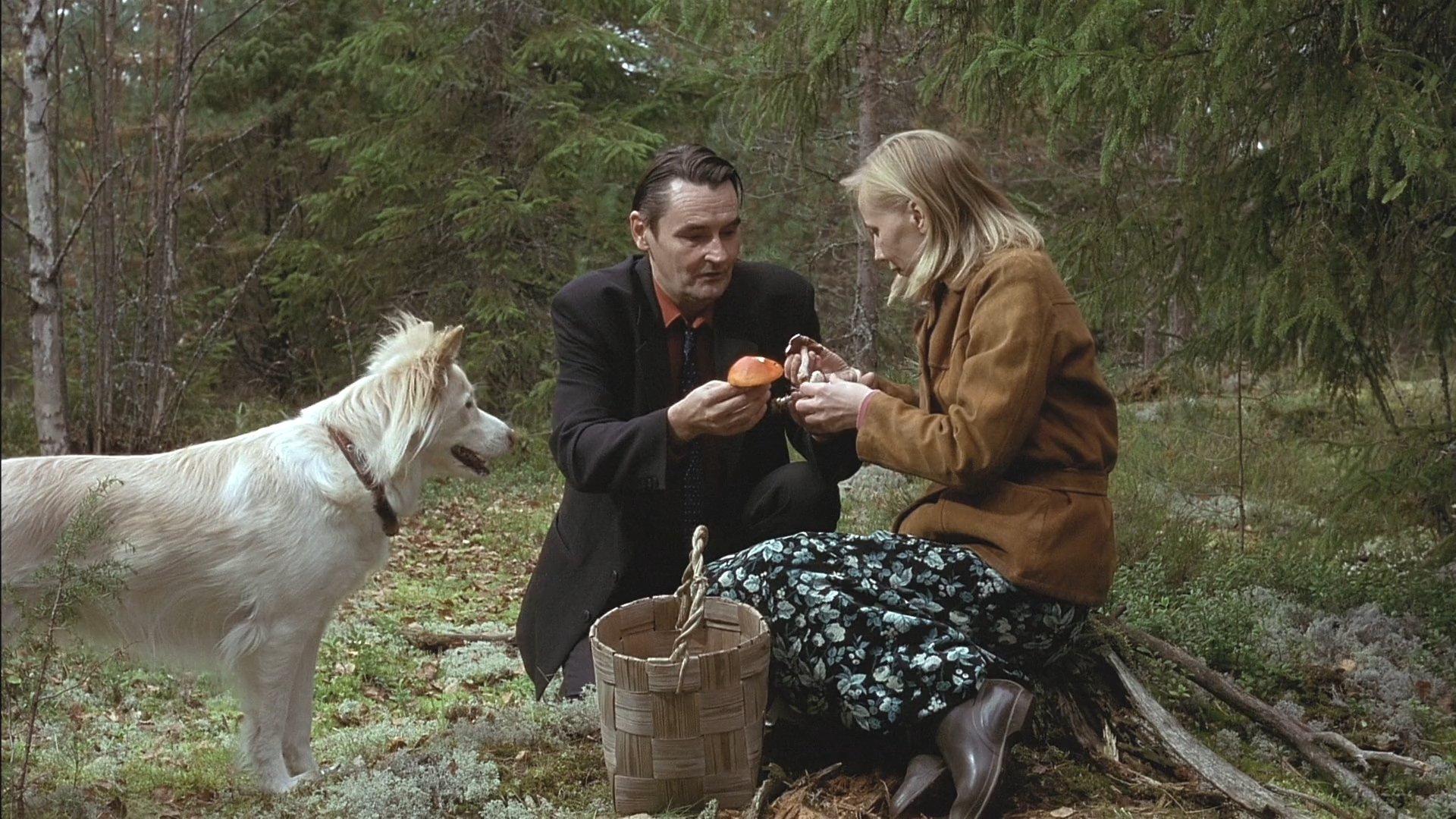 Człowiek bez przeszłości