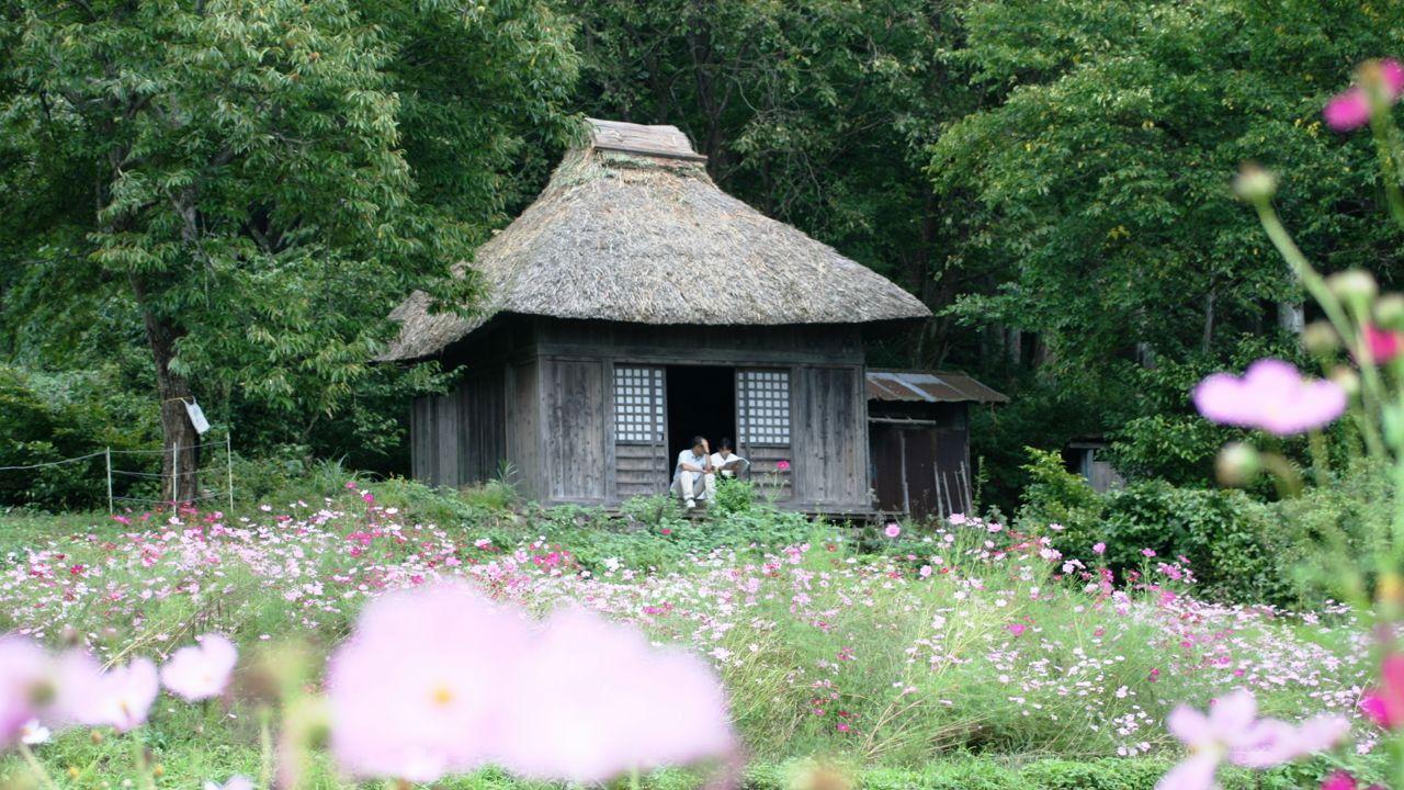 阿弥陀堂だより