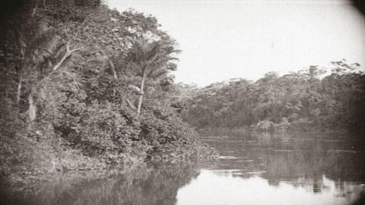 Amazonas, o Maior Rio do Mundo