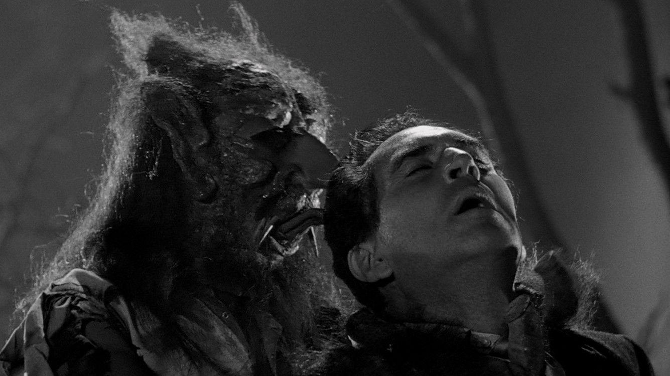 El barón del terror